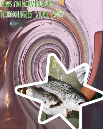 Aquabounty stock