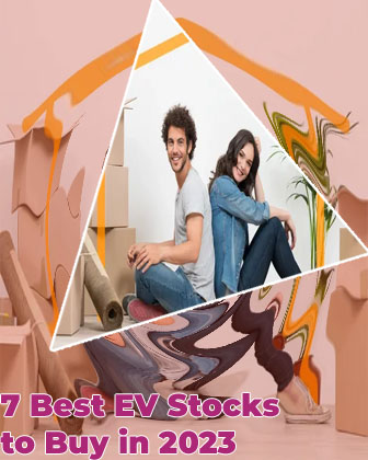 The best ev stocks