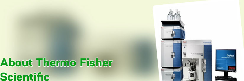 Thermo fisher investor relations