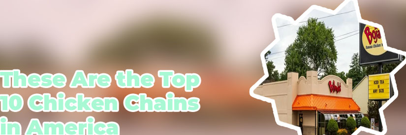 Top 10 chicken franchises
